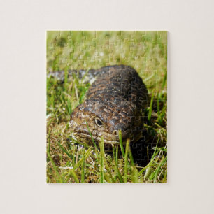Blue Tongue Lizard Creeping In The Grass, Jigsaw Puzzle
