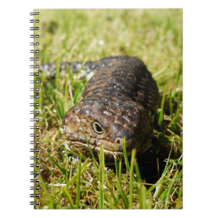 Blue Tongue Lizard Creeping In The Grass, Notebook