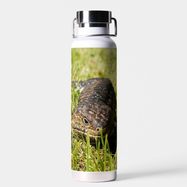 Blue Tongue Lizard Creeping In The Grass, Water Bottle (Back)