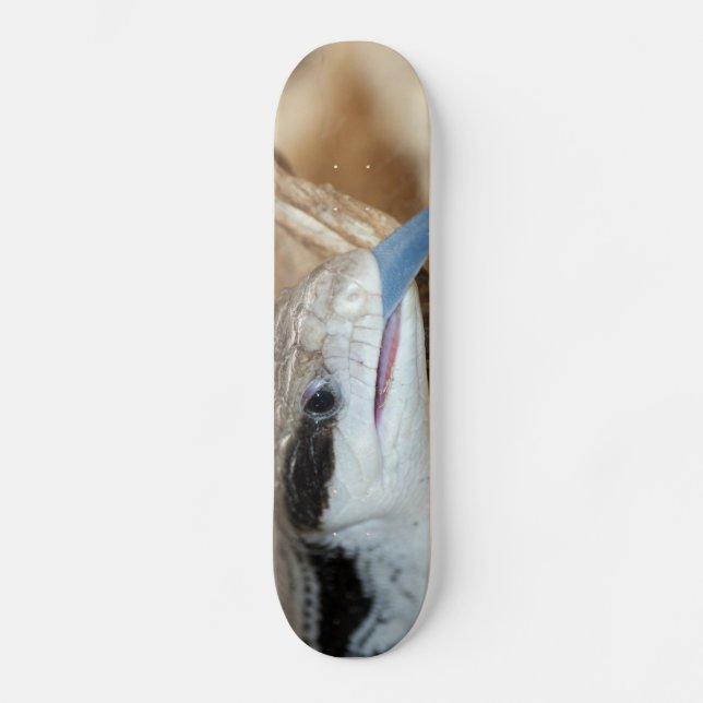 Blue Tongue Lizard Skateboard (Front)