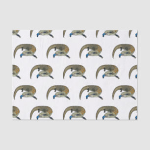 Blue-tongued skink cartoon illustration tissue paper