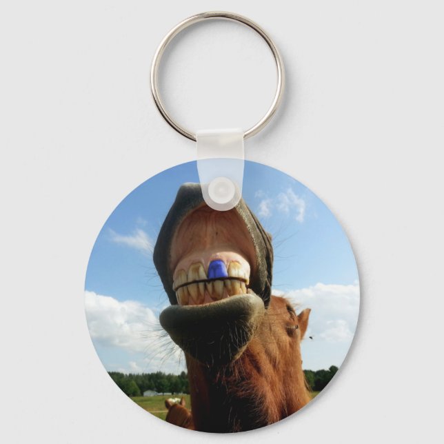 Blue Tooth Enabled Horse Keychain (Front)