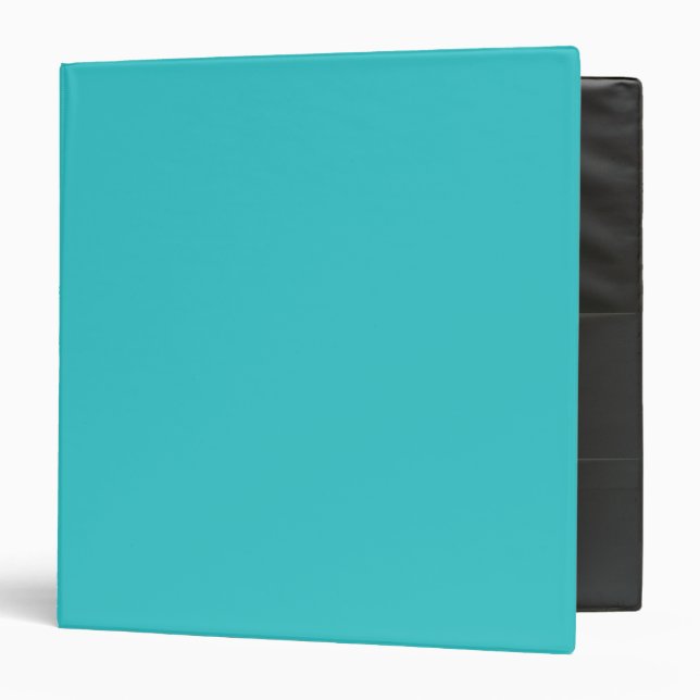 Blue Topaz Binder (Front/Inside)