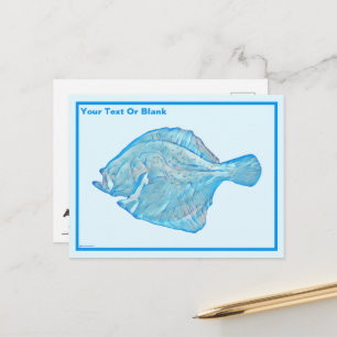 Blue Turbot Postcard