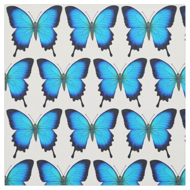 Blue Ulysses Swallowtail Butterfly Fabric (Swatch)