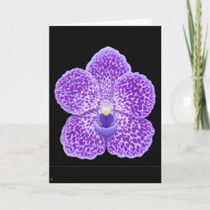 Blue Vanda Orchid Flower Greeting Card