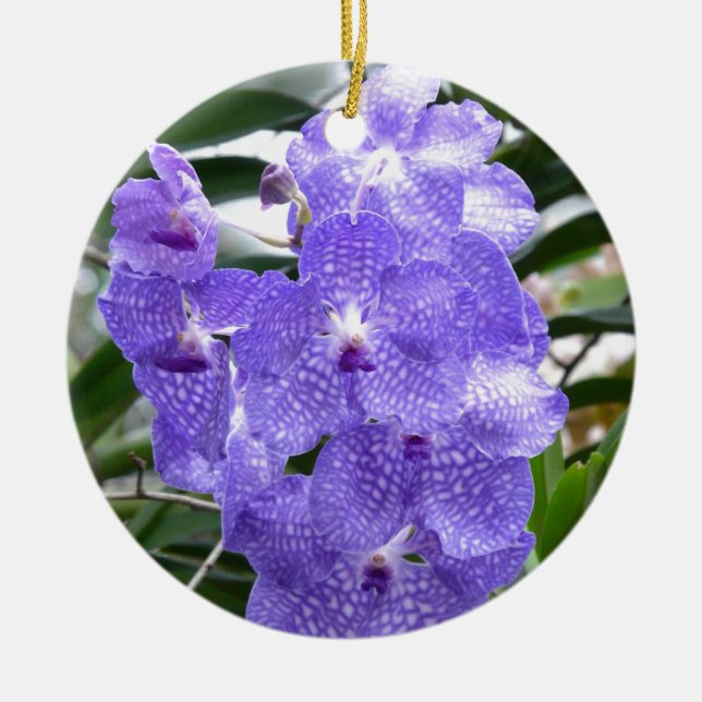 Blue Vanda Orchid Flowers Ceramic Ornament (Front)