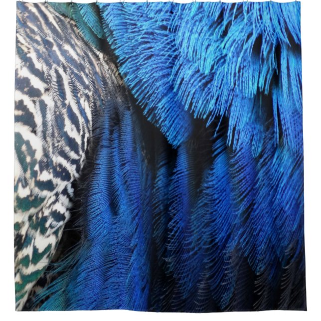 Blue Velvet Peacock Feathers (Front)