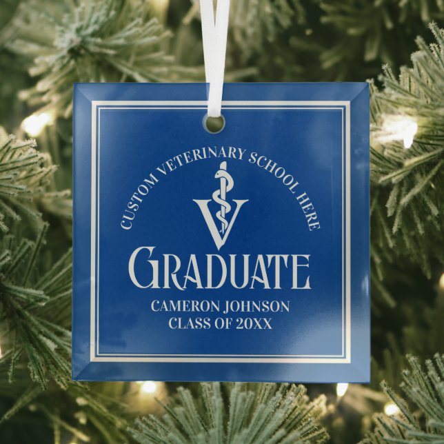 Blue Veterinary School Graduation Christmas Glass Ornament (Insitu)