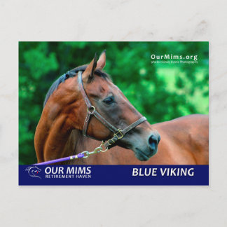 Blue Viking postcard