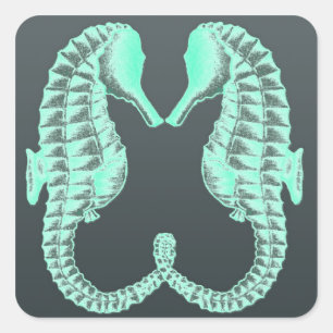 Blue Vintage Kissing Sea Horses Square Sticker