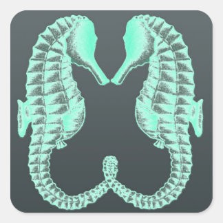 Blue Vintage Kissing Sea Horses Square Sticker