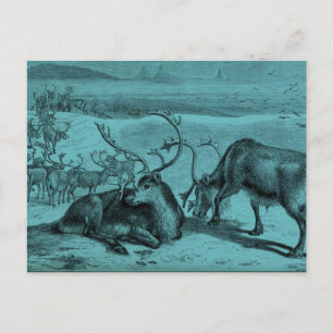 Blue Vintage Reindeer Illustration Postcard