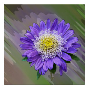 blue violet flower poster