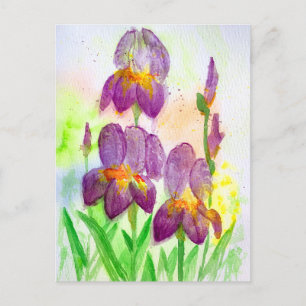 Blue-Violet Irises in Watercolor Painting Holiday Postcard
