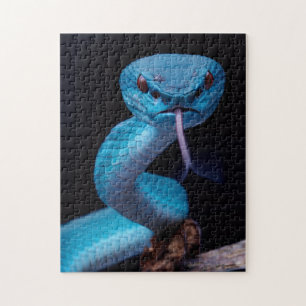 Blue viper snake 252 piece Puzzle