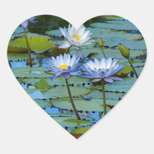 Blue water lilies heart sticker