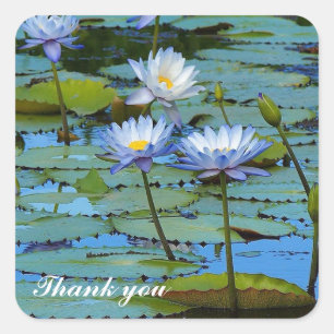 Blue water lilies thank you sticker