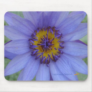 Blue Water Lily Mousepad