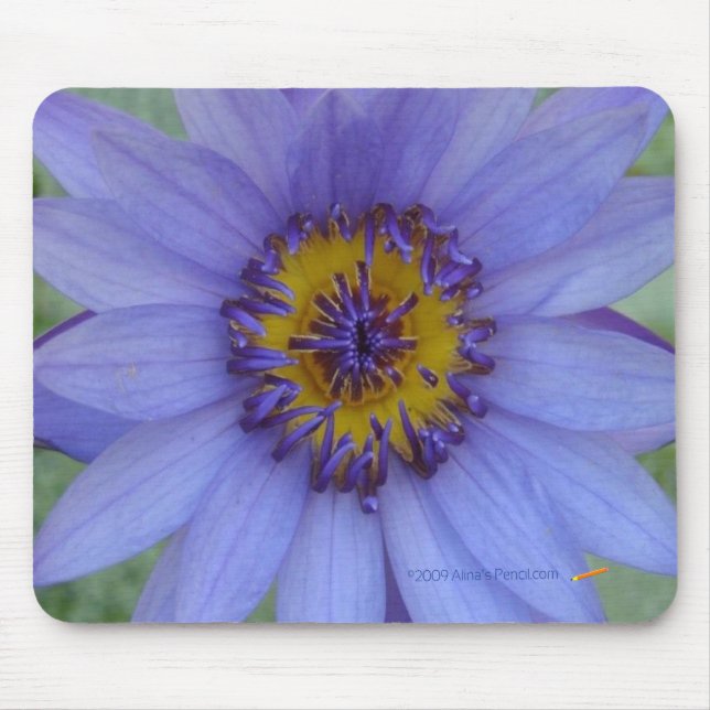 Blue Water Lily Mousepad (Front)