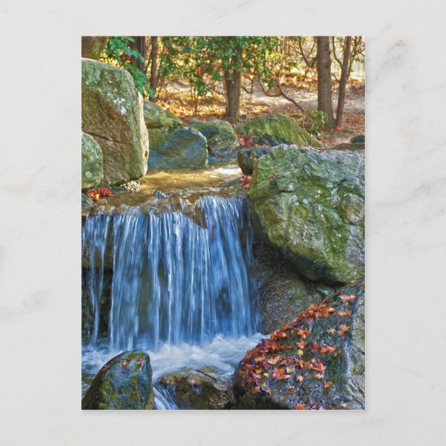 Blue Water Spring Postcard (Front)