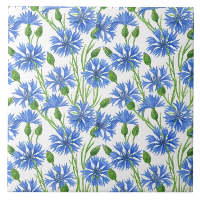 Blue watercolor cornflowers, wild flowers on white tile (Front)