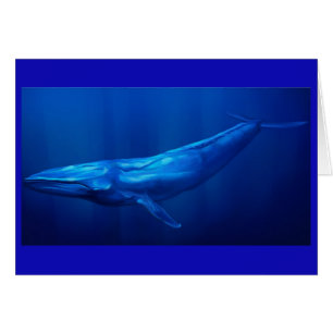 Blue Whale