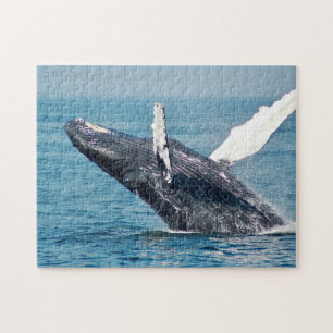 Blue Whale Breaching Photo Puzzle