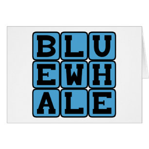 Blue Whale, Marine Mammal