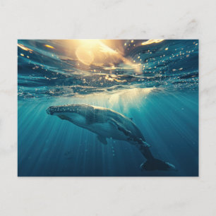 Blue Whale under water Postcard