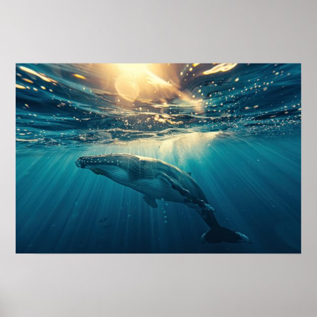 Blue Whale under water  Small Poster (Front)