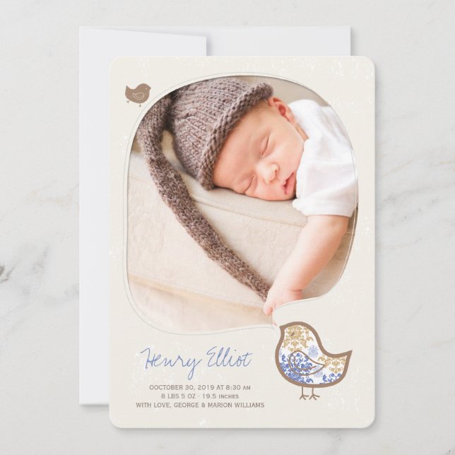 Blue Whimsical Chick Baby Boy Birth Announcement (Front)
