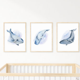 Blue White Back Watercolor Baleen Humpback Whale Poster