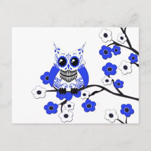 Blue White Cherry Blossoms Owl Postcard