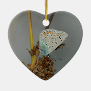 Blue White Orange with Black Spots Butterfly Ceramic Ornament