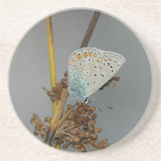 Blue White Orange with Black Spots Butterfly Coaster