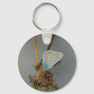 Blue White Orange with Black Spots Butterfly Keychain