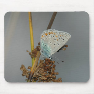 Blue White Orange with Black Spots Butterfly Mouse Pad