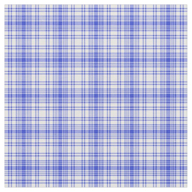 Blue White Plaid 2 Fabric (Close Up)