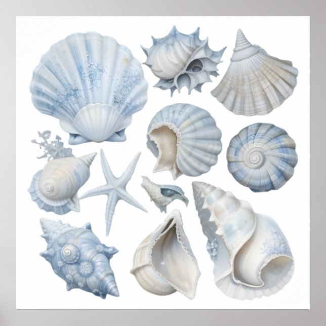Blue & White Watercolor Seashells – Ocean Nursery  Poster (Front)