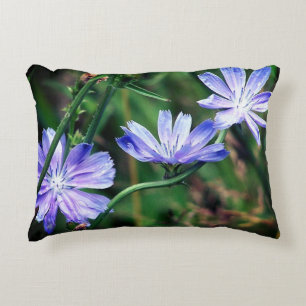 Blue Wild Chicory Flower Trio Accent Pillow