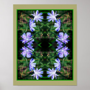 Blue Wild Chicory Flowers Mirror Abstract  Poster