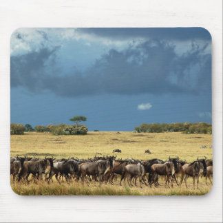 Blue Wildebeest migration Masai Mara mousepads
