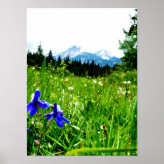 Blue Wildflowers by Mountain Peaks Poster