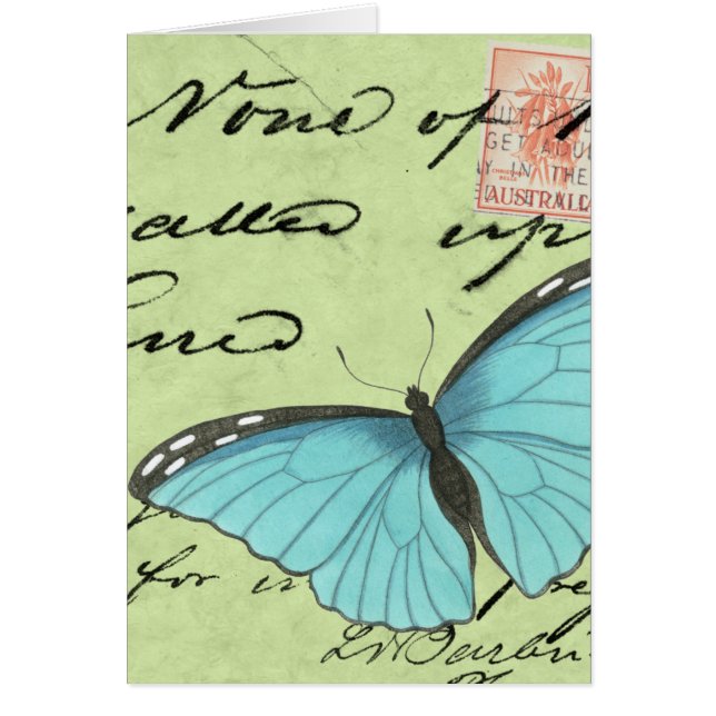Blue-Winged Butterfly on Teal Postcard (Front)