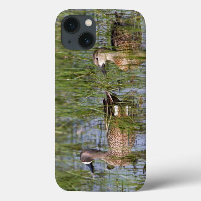 Blue-winged Teal male and female in wetland Case-Mate iPhone Case (Back)