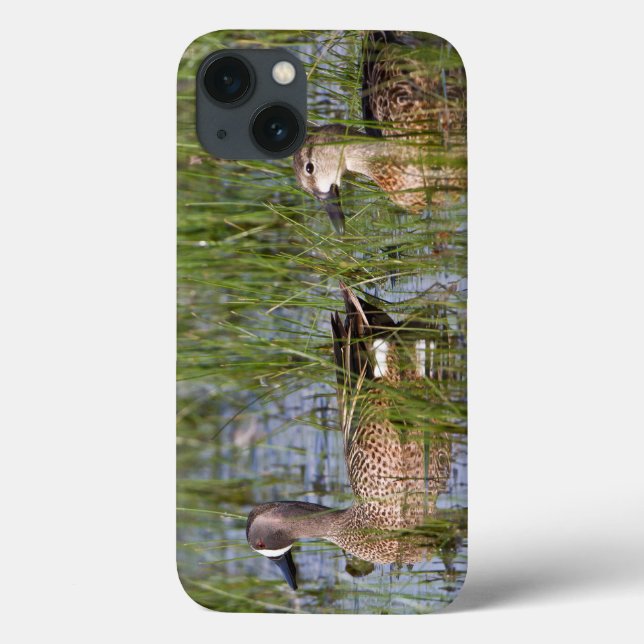 Blue-winged Teal male and female in wetland Case-Mate iPhone Case (Back)