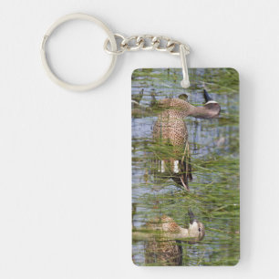 Blue-winged Teal male and female in wetland Keychain