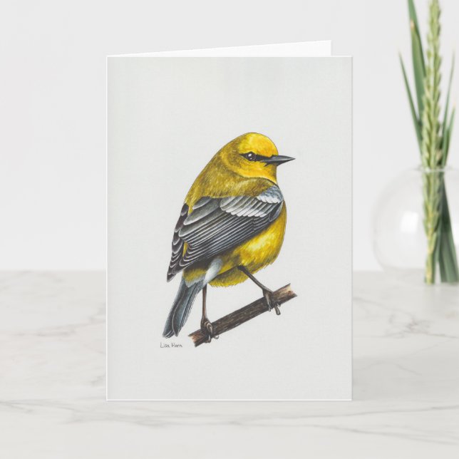 Blue-winged Warbler Art Card (Front)