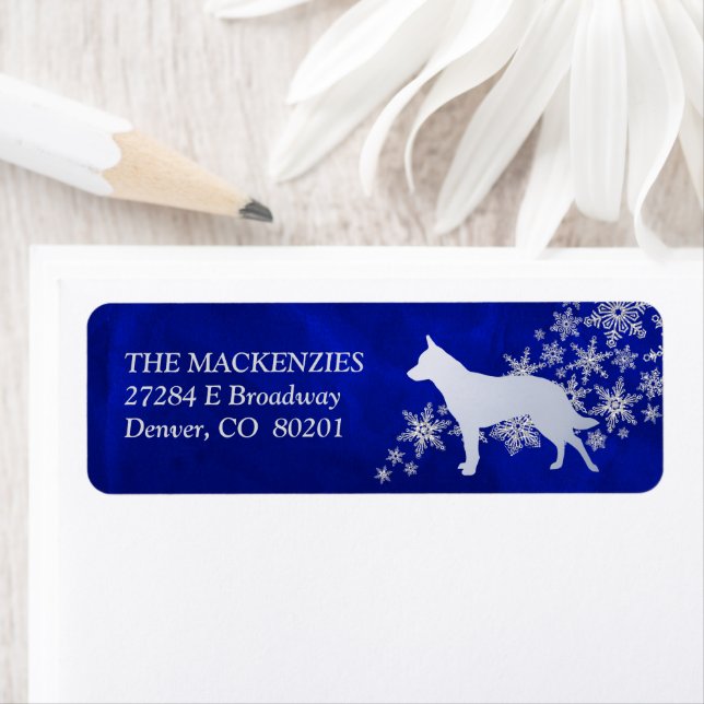 Blue Winter Australian Cattle Dog Return Address (Insitu)